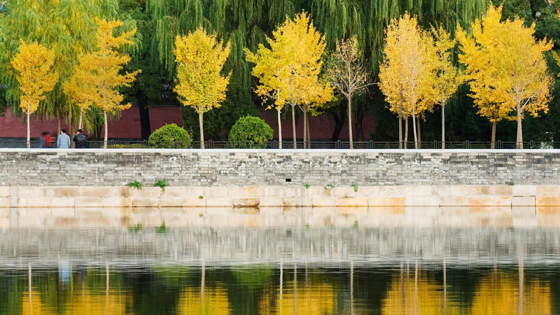 official, change, theme, incidental people, yellow, architecture, august, nature, bing, outdoors, day, waterfront, beauty in nature, plant, scenics - nature