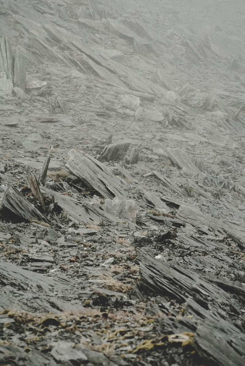 danger, non-urban scene, close-up, day, mount aspiring national park, aspiring, wood - material, no people, new zealand, dry, nature, texture, stone, outdoors