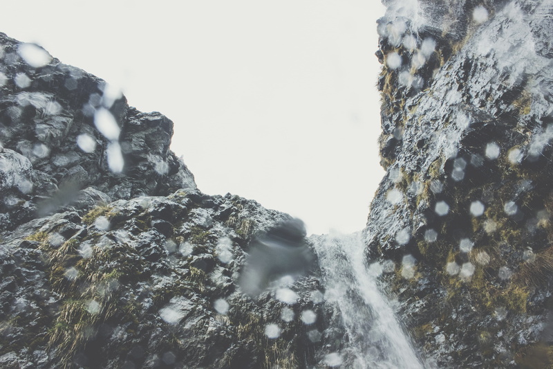 tree, rock - object, camera, south island, wild, lens, forest, sky, cold temperature, low angle view, water, wet, green, tranquility, folk, black, snow