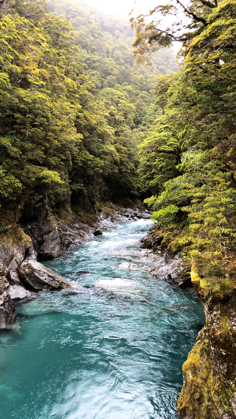 day, bridge, blue pools walk, land, power in nature, mt aspiring national park, waterfront, blue, 4K, flowing water, non-urban scene, tree, nature, new zealand