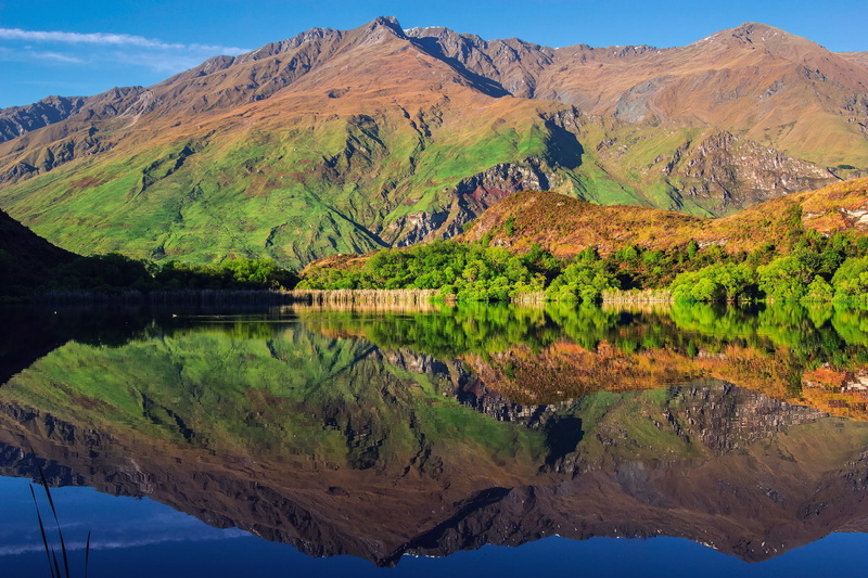 Wanaka, New Zealand, national Park mount Aspiring, the sky, trees, 1080P, mountains, reflection, South island, lake, Diamond Lake