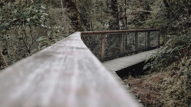 built structure, transportation, bridge - man made structure, mt aspiring national park, diminishing perspective, architecture, trees, 4K, new zealand