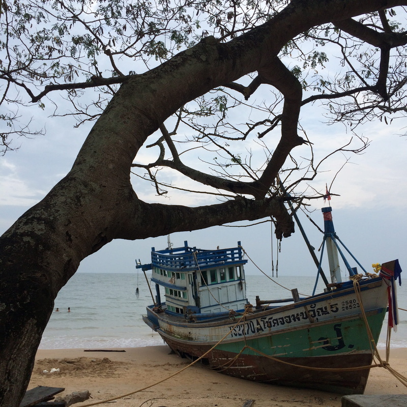 day, tree trunk, transportation, worthless, travel, the old boat, land, tranquility, mode of transportation, beauty in nature, beach, no people, trunk