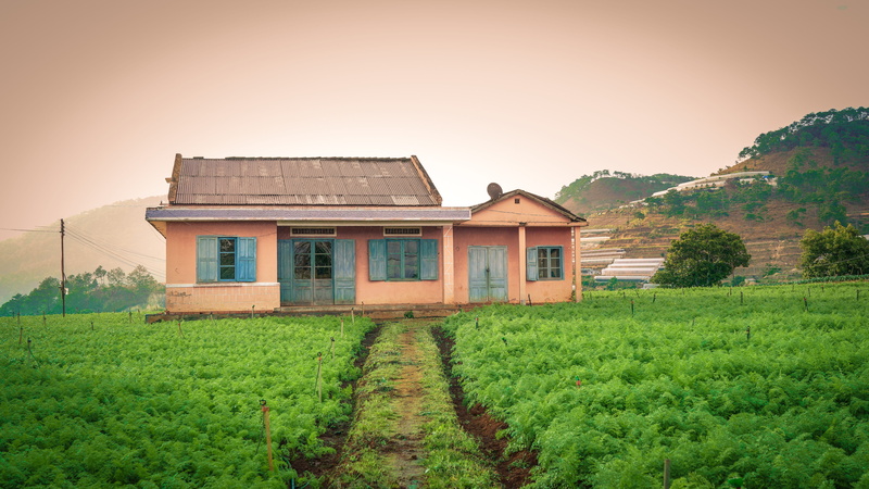 rural scene, architecture, residential district, field, agriculture, environment, plant, farm, growth, nature, building exterior, no people, sky, grass