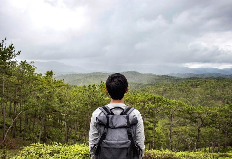 beauty in nature, nature, landscape, daytime, waist up, rear view, woodland, outdoors, standing, behind, person, forest, me, green color, sky, friend, scenics - nature