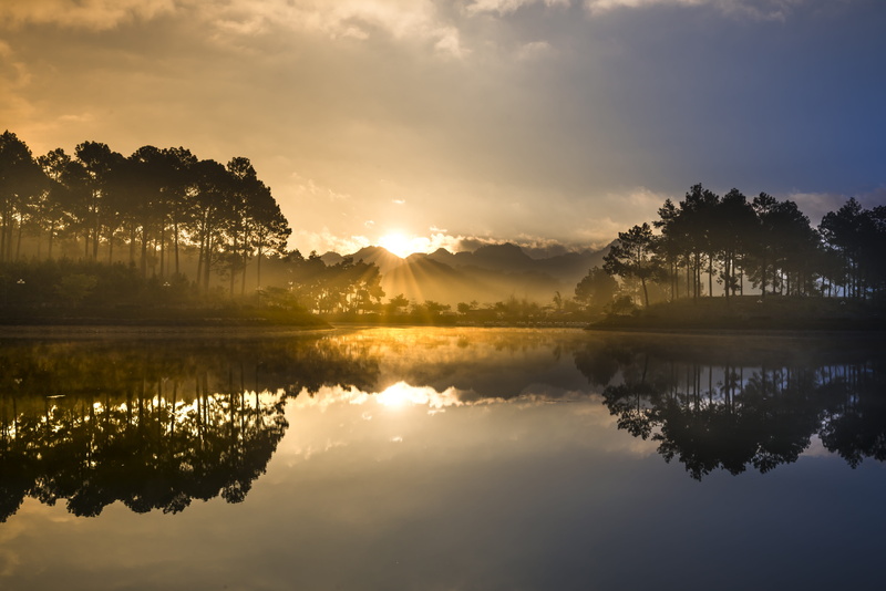 the morning, non-urban scene, travel, body, pine forest, province, wood, nice, magic, natural, background, outdoor, outdoors, the sun, reflect, beauty in nature