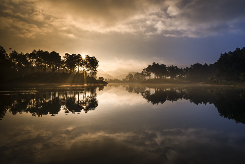 outdoors, red, nature, daytime, sun, natural, scenics - nature, idyllic, lake, environment, pine forest, the landscape, sunrise, plant, the morning, travel