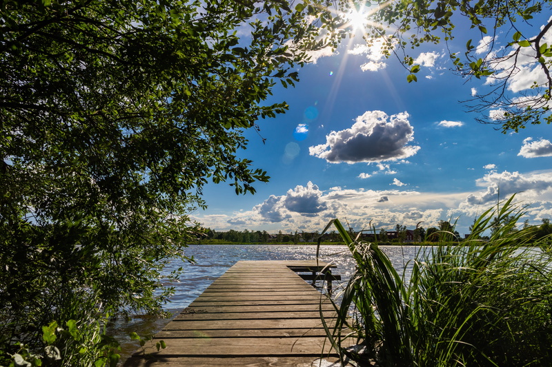 sunlight, grasses, cloud - sky, tree, clouds, blue, beauty in nature, water lilies, tranquility, photo, scenic, forest, scenics - nature, reflections, background