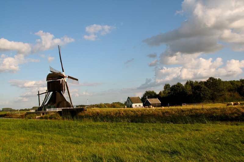 grass, canal, scene, plant, europe, water, cloud - sky, outdoors, day, cloud, fuel and power generation, history, river, traditional windmill, nature, wind