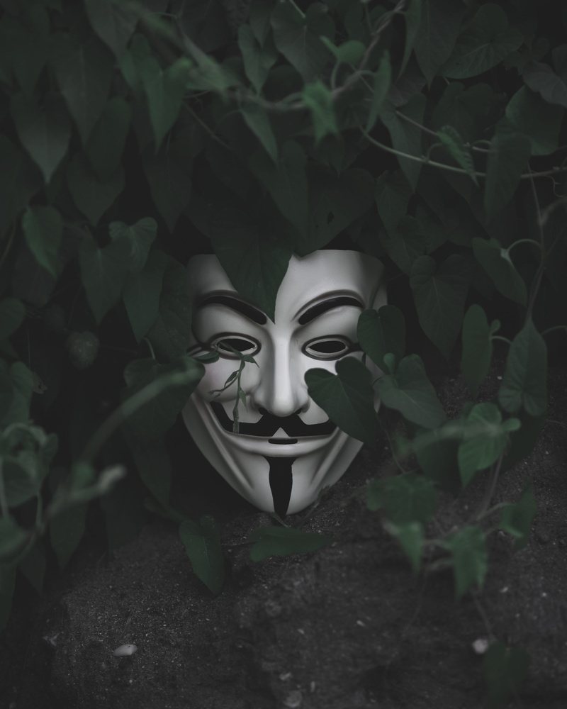abstract, shoe, ornament, fawkes, mask, outdoors, gargoyle, plant, creativity, plant part, clothing, footwear, tree, art, green, creative, day, 4K, art and craft
