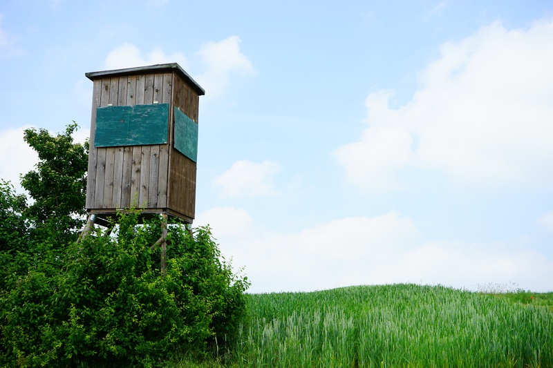 wooden tower, 5K, no people, shoot, cloud - sky, grass, hunt, view, beauty in nature, landscape, outlook, green color, sky, land, shooting range, architecture