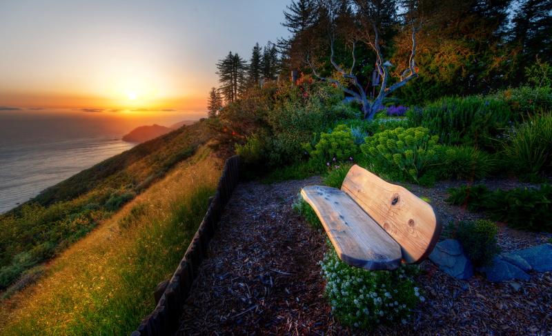 tranquil Scene, europe, beauty In Nature, greens, blue, nature, plant, landscape, the sun, tree, sunrise - Dawn, flowers, full screen, waters Edge, idyllic