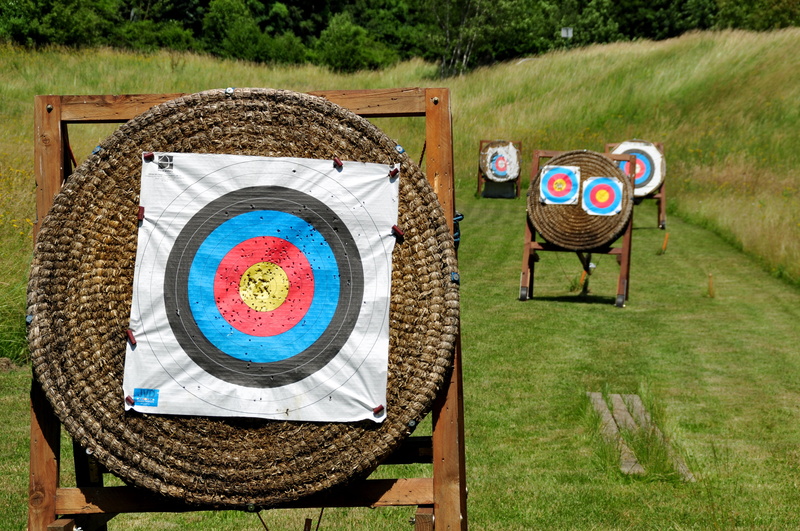 geometric shape, archery, land, target, blue, grass, background, circle, sport, brown, plant, delivering, close-up, creativity, communication, day, disc
