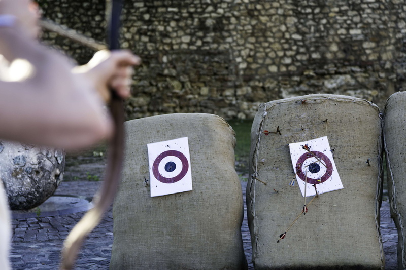 focus on background, one person, focus, plant, bulls, skill, outdoors, human limb, holding, 4K, close-up, archer, shooting, aim, sport, body part, competition