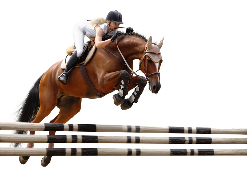 rider, horse riding, horse, jump, obstacle, 2K