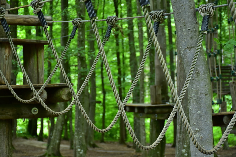 courage, team, crown, forest, daring, green color, close-up, gray, range of motion, platform, outdoors, station, exhausting, woodland, land, no people