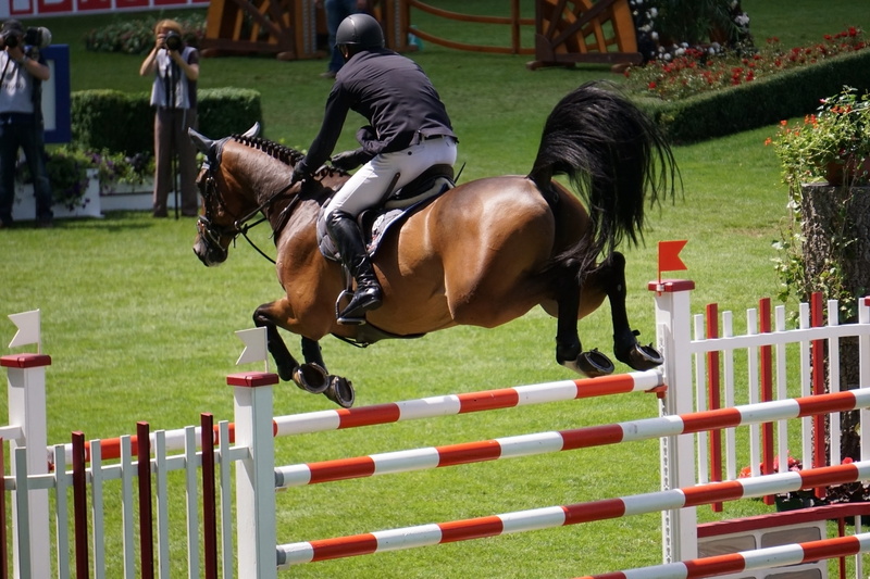 man, Aachen, animal wildlife, show jumping, domestic animals, bush, aachen, tournament horse riding, domestic, tournament, activity, hoof, Equestrian, plant