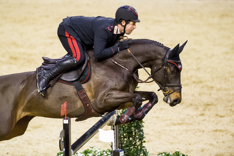 rider, mammal, domestic animals, hurdles, jockey, activity, jumping, riding, horseback riding, animal, domestic, one person, outdoors, daytime, show jumping