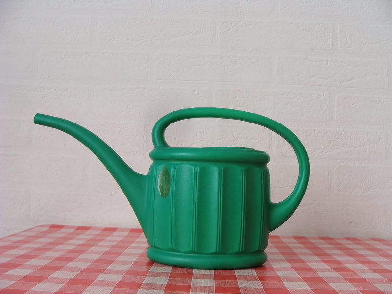 box, kitchen utensil, wall - building feature, single object, watering can, garden, hurdle, grass, nature, summer, flowers, checked pattern, yellow, green