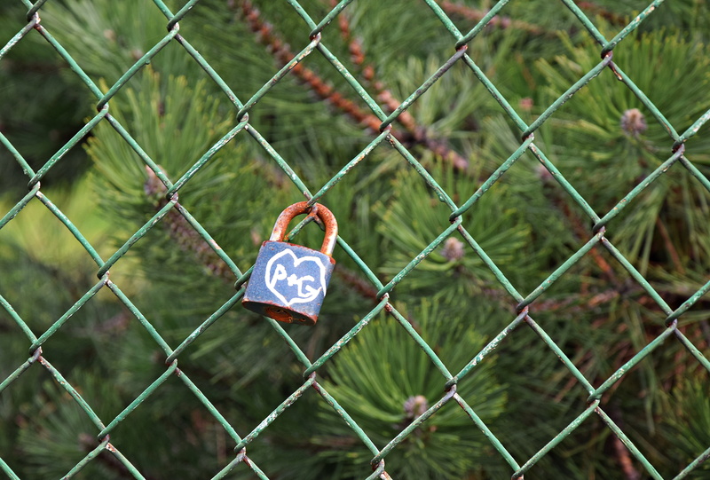 fence, chainlink fence, positive emotion, love lock, close-up, metal, by wlodek, lock, protection, padlock, boundary, focus on foreground, communication