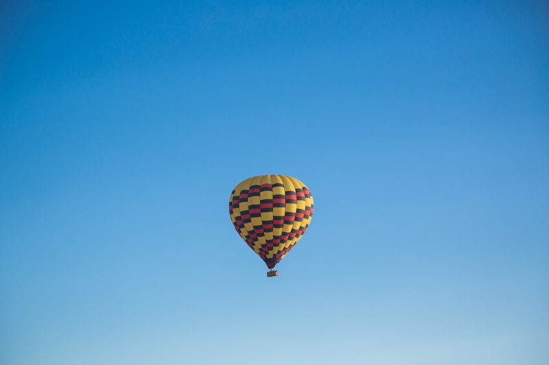 ballooning festival, animal themes, hover, soar, day, air vehicle, portrait, transportation, dirigible, adventure, motivation, scene, journey, explore