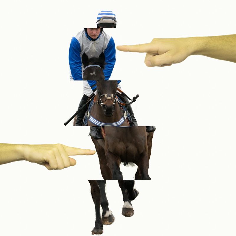 race, thoroughbred, track, domestic, 1080P, one animal, herbivorous, jockey, real people, sport, vertebrate, soil, men, point to point, livestock, studio shot