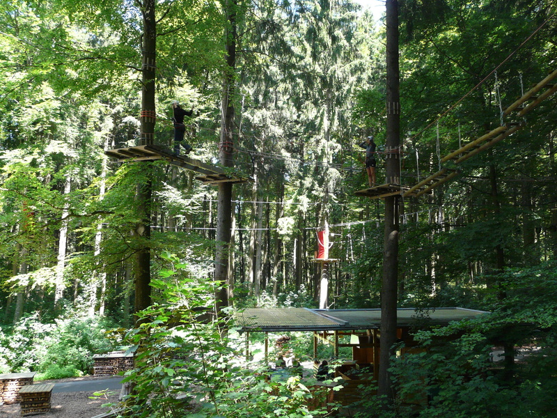 tree, built structure, forest, climb, architecture, dangerous, parcour, outdoors, green color, woodland, high, trunk, balance, exhausting, nature, team spirit