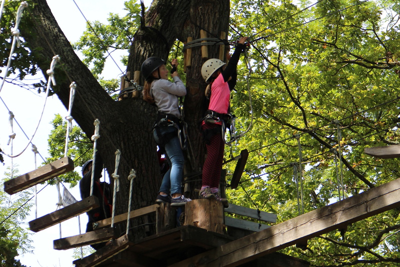 climb, art and craft, rope park, human representation, built structure, 2K, outdoors, casual clothing, girl, branch, representation, day, adventure, construction Industry