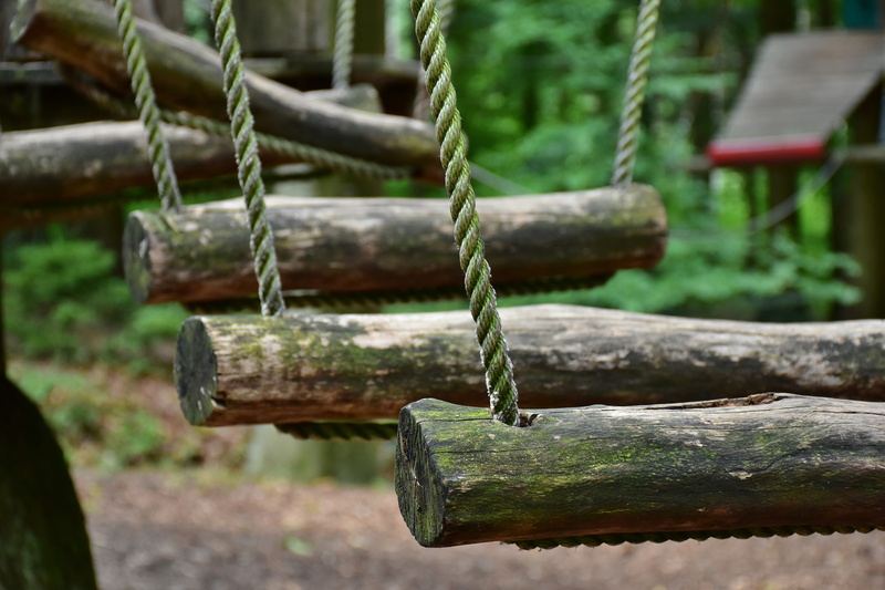 head for heights, top, high, wood trunks, close-up, hemp rope, selective focus, cordage, team spirit, fear, get over, plant, connection, drex, team, parcours