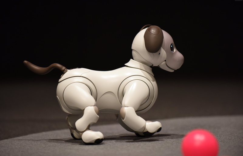 mammal, no people, art and craft, craft, table, toy, 8k, black background, studio shot, CES 2018, still life, Sony Aibo, white color, domestic animals