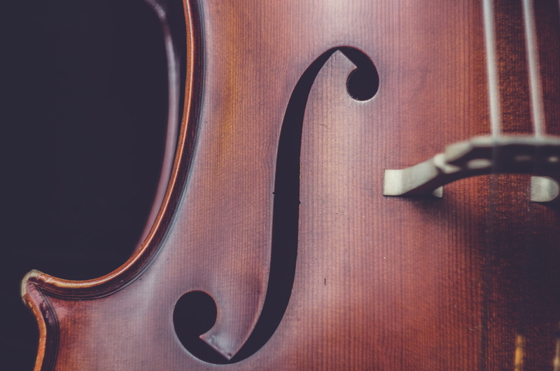 string, human body part, violin, brown, one person, still life, untitled, cello, musical instrument string, indoors, string instrument, real people, wood - material