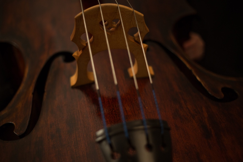 classical style, musical equipment, instrument, skill, bow - musical equipment, musical instrument, indoors, classical music, cello, violin, 5K, selective focus
