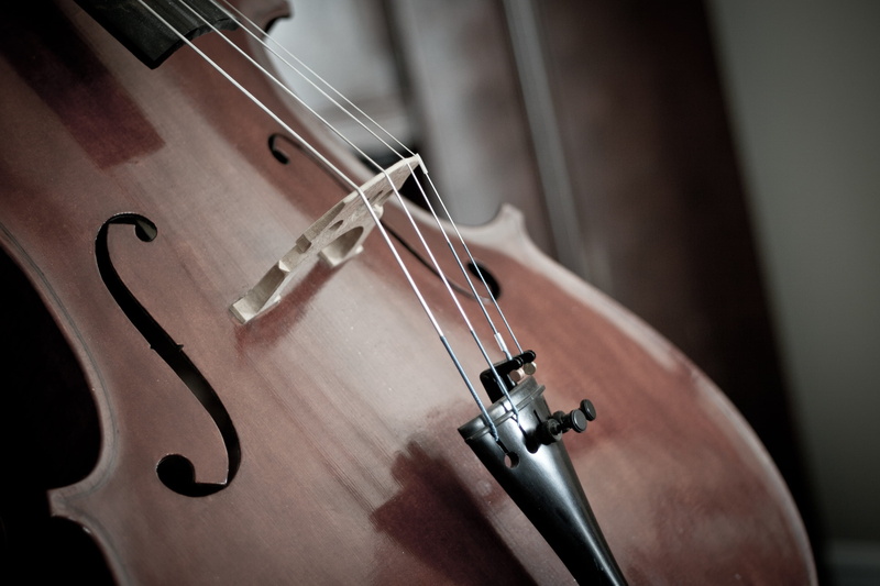wood - material, stringed instrument, string, music, brown, close-up, musical instrument, arts culture and entertainment, classical music, detail, close