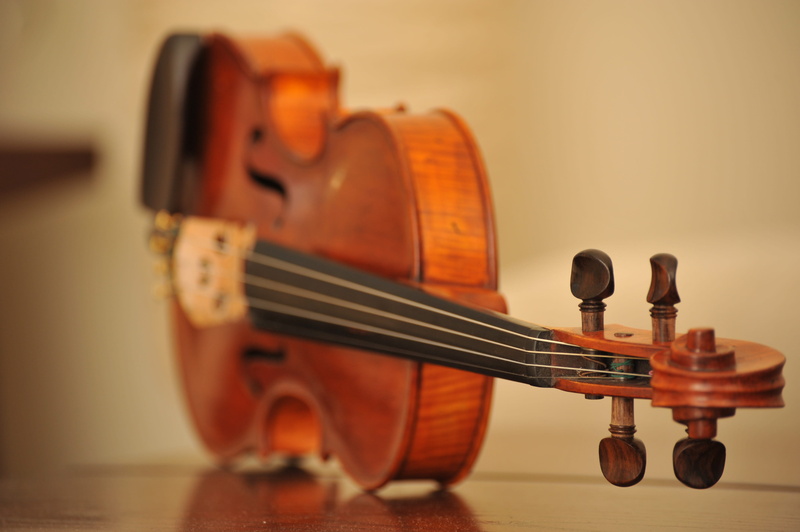 guitar, Instrument, playing, classical Concert, classical Music, classic, 4K, art, musical Instrument, cello, musical Instrument String, classical Style