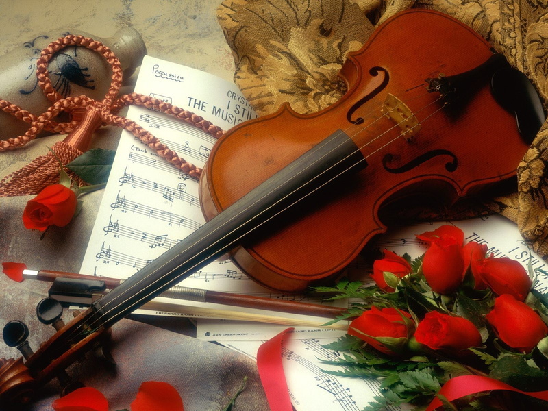 viola - Musical Instrument, old, orchestra, sheet Music, musical Note, studio Shot, Violin, viola, classical Concert, wood - Material, old-fashioned, classical Style