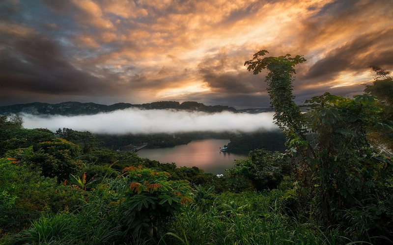 sunset, white, non-urban scene, fog, shrubs, forest, cloud - sky, tree, beauty in nature, nature, landscape, water, painting, outdoors, 480P, tranquil scene