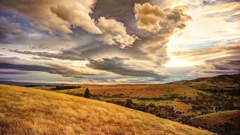 no people, beauty in nature, field, Central Otago, horizon, sky, brown, landscape, 1080P, plant, tranquility, nature, dried, land, tranquil scene, environment