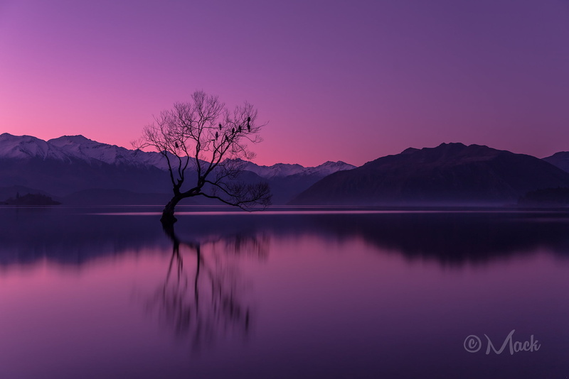 snowcapped mountain, reflection, mountains, scenics - nature, the sky, romantic sky, non-urban scene, mountain, sky, outdoors, water, purple, the evening
