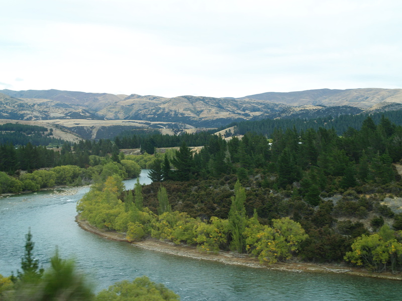 new zealand, pine tree, 2K, water, pine woodland, non-urban scene, tranquility, tree, outdoors, otago, scenics - nature, mountain, river, clutha river