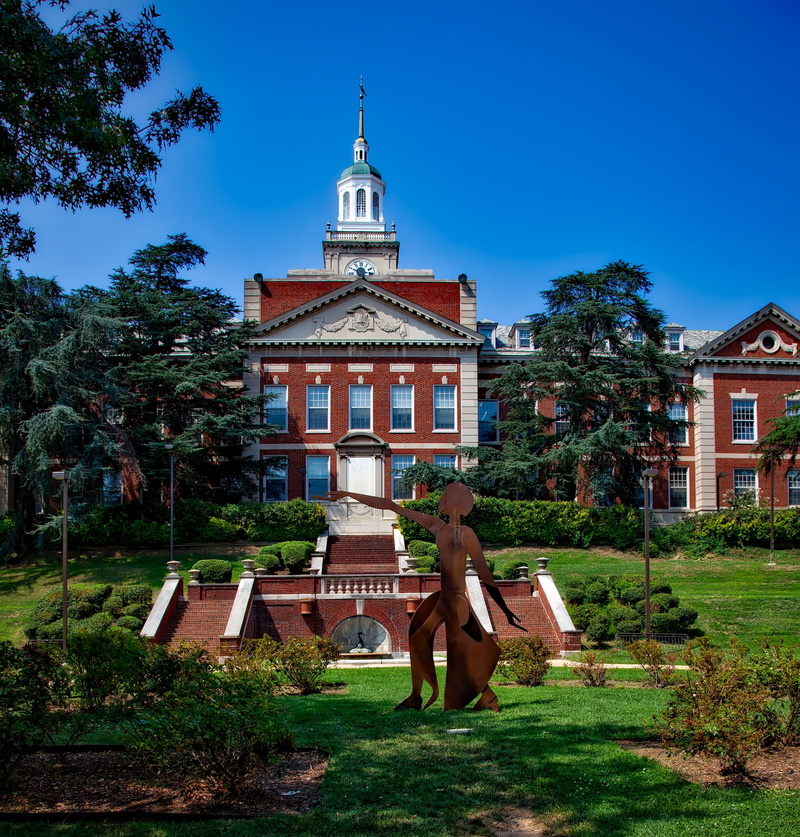 building exterior, howard university, outdoors, women, tree, brown, universities, full length, sky, house, ahead, hdr, colleges, day, sculpture, built structure