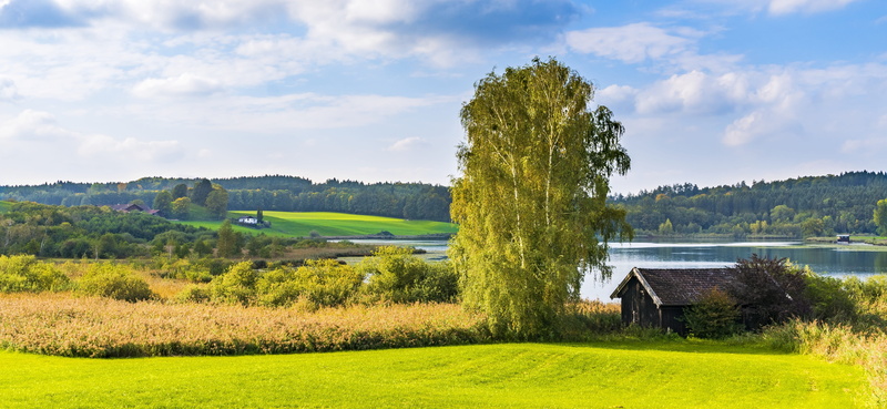 plant, pasture, springtime, hut, agricultural, brown, woodland, lake, environment, rural, scenics - nature, pine tree, birch, rural scene, mood, daytime