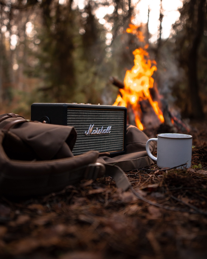 marshall, black, no people, guitar, fire - natural phenomenon, glowing, outdoors, gray, nature, day, firewood, log, flame, plant, burning, tree, communication