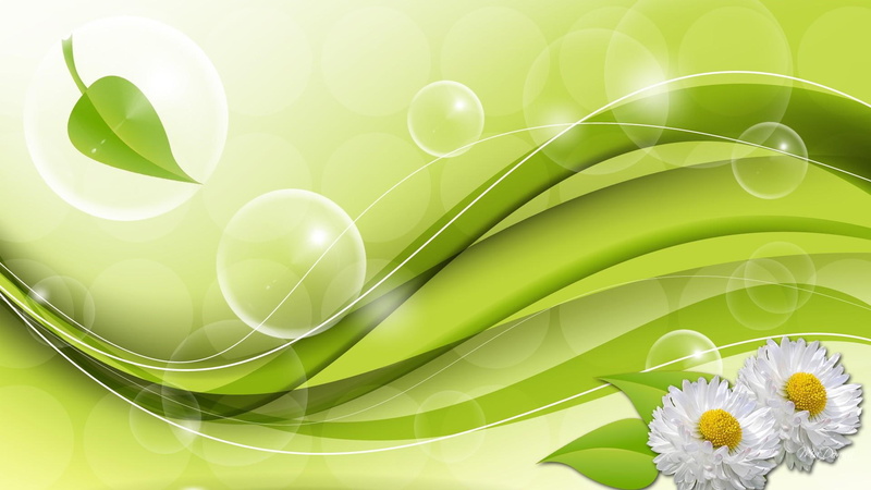 daisy, leaves, metaphysical, fresh, incorporeal, visionary, utopian, bubbles, 1080P, immaterial, mental, flowers, ideal
