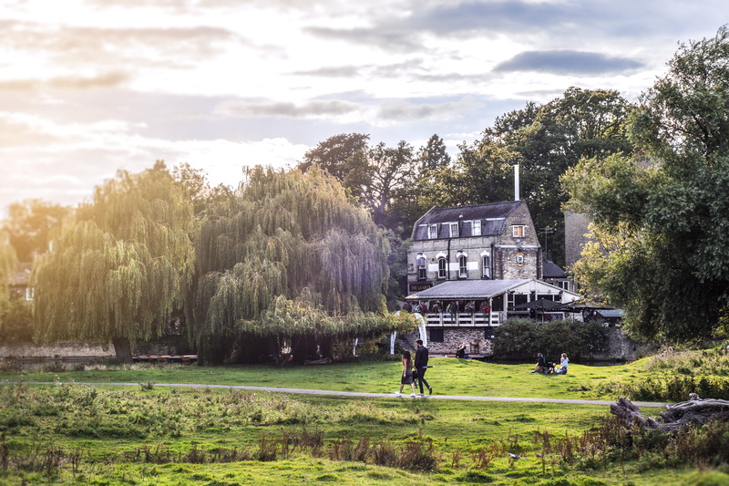 nature, outside, field, outdoor, ideal, 4K, wood, tree, public transportation, cottage, day, restaurant, wanderlust, place, travel, plant, building, land
