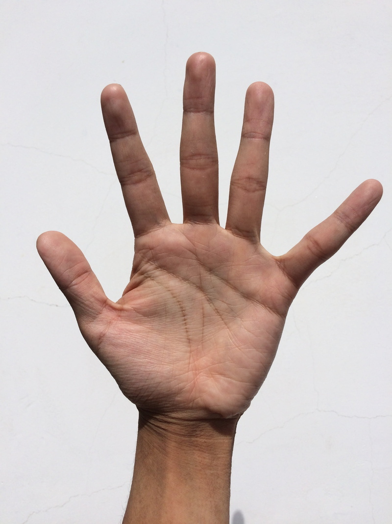 left, previous life, rough hand, body part, tsuyoun, human body part, parts, power, compact, marriage lines, inn, surgery, one person, joint, palm, bleaching