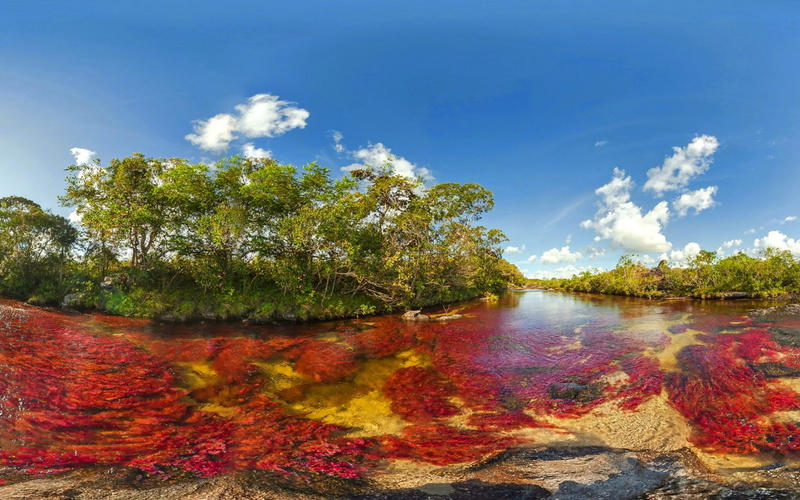 latin, liquid, cristales, colombia, tributary, country, world, guayabero, 1080P, unique, american, rainbow, cano, river