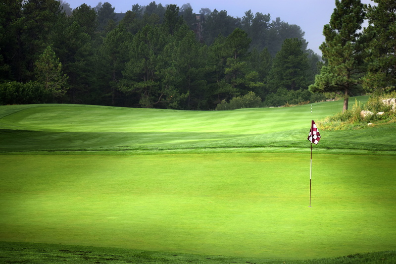 beauty in nature, golf flag, leisure activity, golf, green color, panoramic, nature, no people, golf course, recreational, putting green, tree, relax, activity