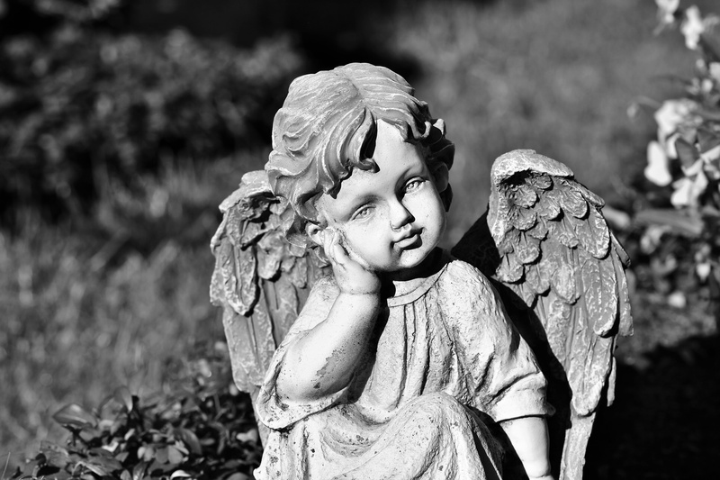 sculpture, decoration, child, tomb figure, mourning, statue, rock carving, representation, heavenly, day, cemetery, angel figure, field, front view, art and craft