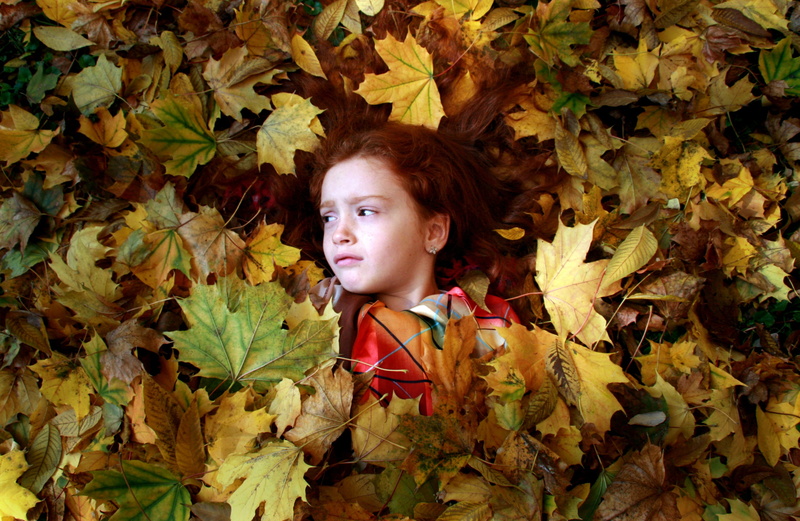 leaf, offspring, adorable, leaves, one person, males, 2K, contemplation, angel, child, maple leaf, day, looking, nature, men, girl, autumn, portrait, change