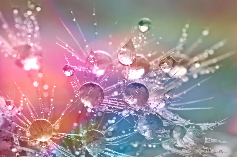 fragility, close, colorful, bright, nature, dewdrop, raindrop, structure, drop of water, close-up, macro, lights, beauty in nature, dew, blue, reflection